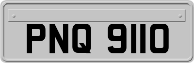 PNQ9110