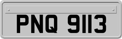PNQ9113