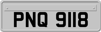 PNQ9118