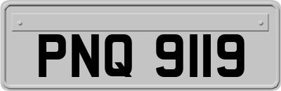 PNQ9119