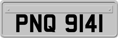 PNQ9141