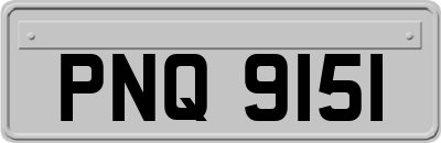 PNQ9151