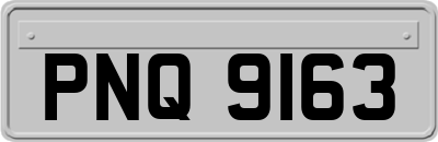 PNQ9163