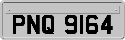 PNQ9164
