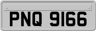 PNQ9166