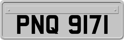 PNQ9171
