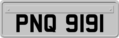PNQ9191