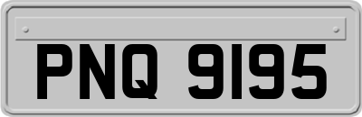 PNQ9195