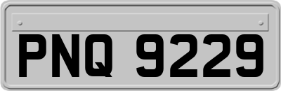 PNQ9229