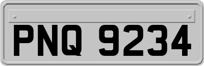 PNQ9234