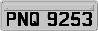 PNQ9253