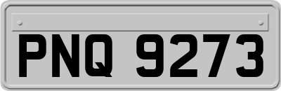 PNQ9273