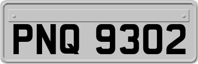 PNQ9302
