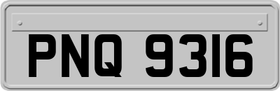 PNQ9316