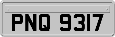 PNQ9317