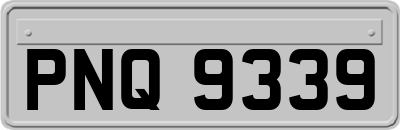 PNQ9339