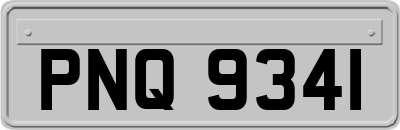 PNQ9341