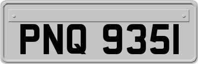 PNQ9351
