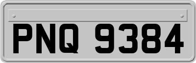 PNQ9384