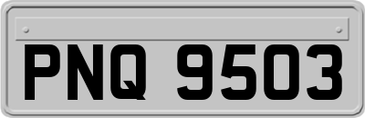 PNQ9503