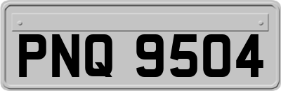 PNQ9504