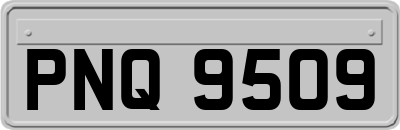 PNQ9509
