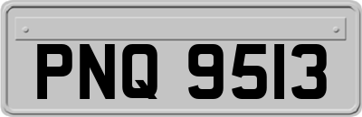 PNQ9513