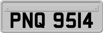 PNQ9514
