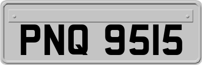PNQ9515