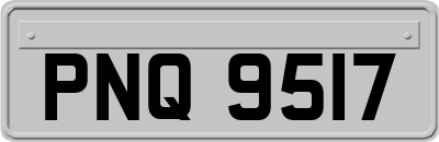 PNQ9517