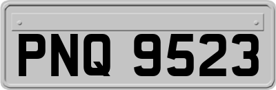 PNQ9523
