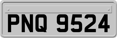 PNQ9524