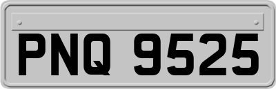 PNQ9525
