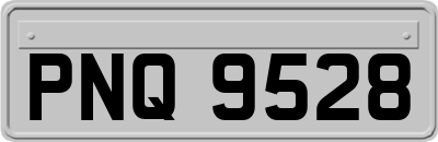 PNQ9528
