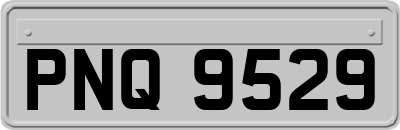 PNQ9529