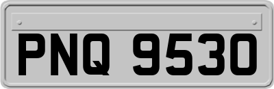 PNQ9530