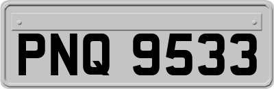 PNQ9533