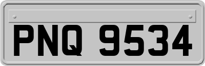 PNQ9534