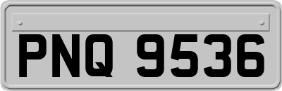 PNQ9536