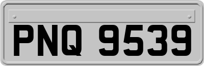 PNQ9539