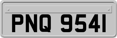 PNQ9541