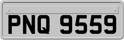 PNQ9559
