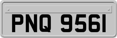 PNQ9561