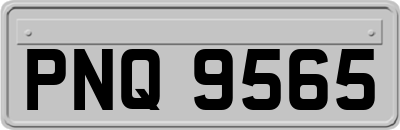 PNQ9565