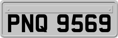 PNQ9569