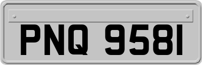 PNQ9581
