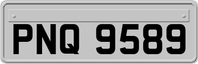 PNQ9589