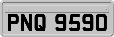 PNQ9590