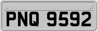 PNQ9592