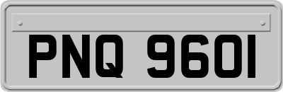 PNQ9601